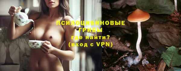 a pvp Инта