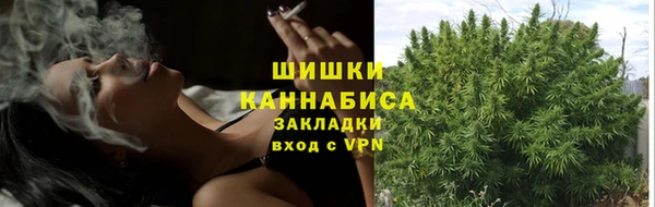 a pvp Инта