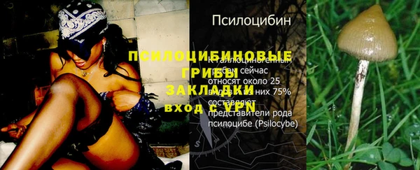 спайс Инсар